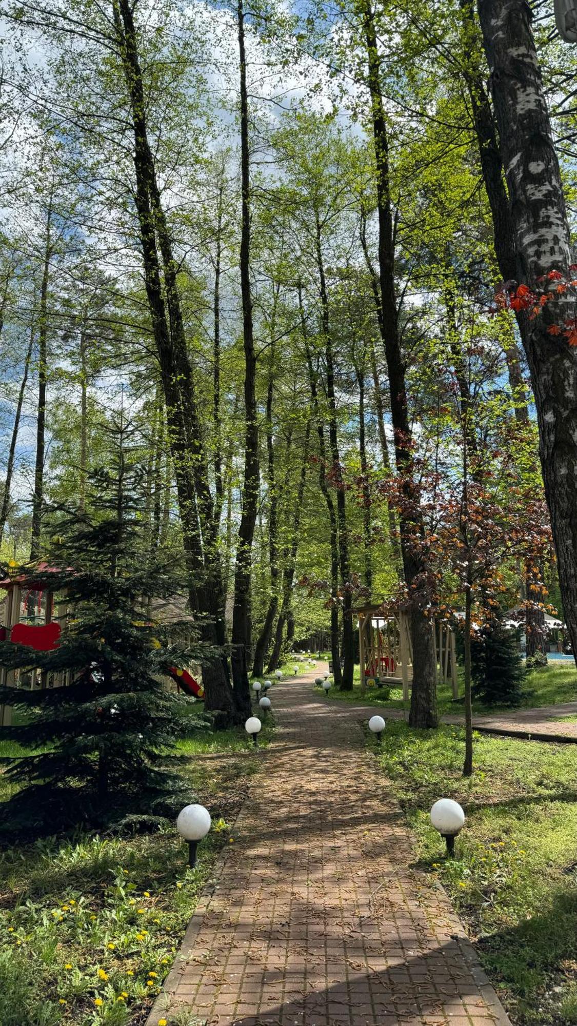 Tysha Forest Club Romankiv Exterior photo